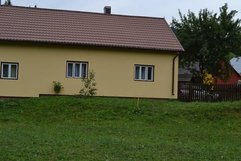 garden in front of the house