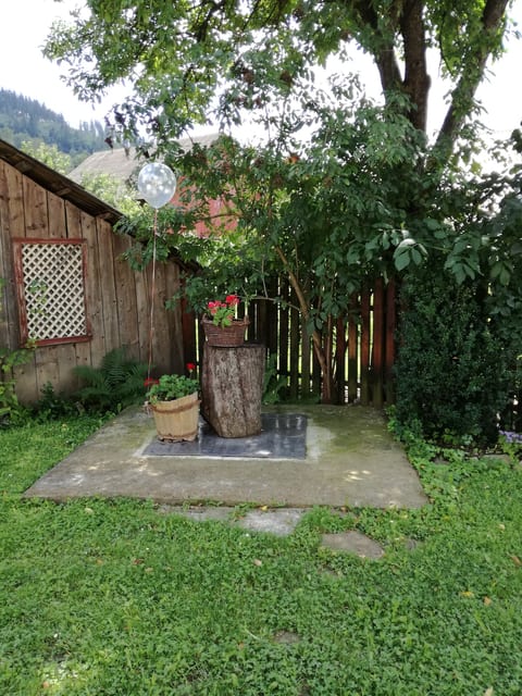 yard2