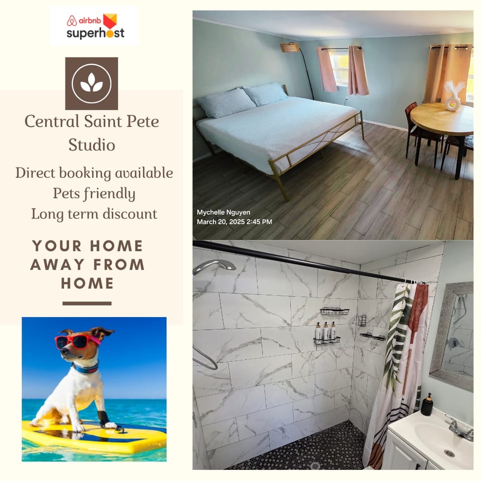 Studio privé/animaux acceptés/à 10 minutes du centre-ville - St. Petersburg