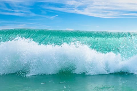 Recommended by Travel + Leisure as their pick for “Top US Vacation Destination”