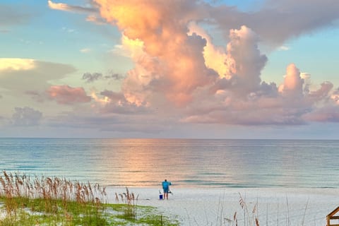 “LUPINE” public beach access is 1 block east; it’s adjacent to the scenic vistas of Helen State Beach Park (183 acres)