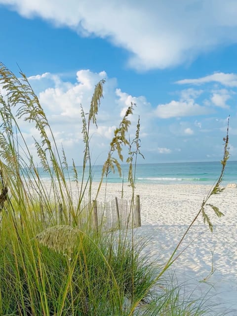 “PHILIPS” beach access is 80 steps south, with NO STEPS to climb (beach chair set-up services available - just ask!)