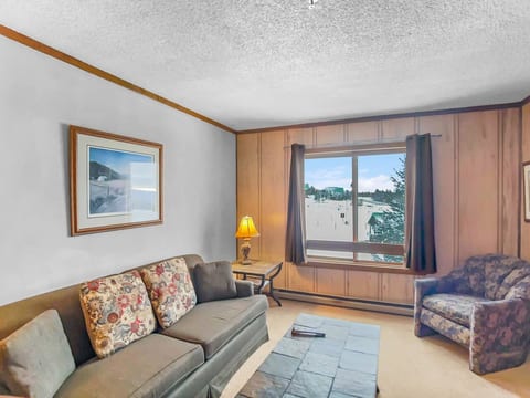 Living room - fold out mattress is not available