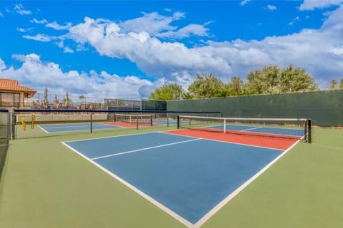 Pickle ball