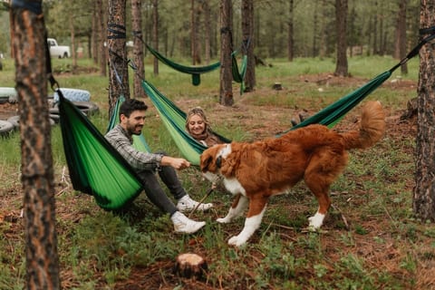 The Hohnstead is a pet-friendly Glamping Resort.  A small pet cleaning fee is applied to your entire stay (not per night).