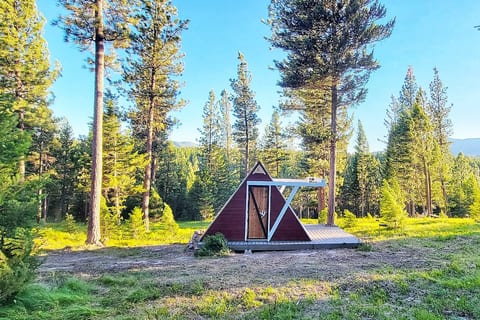 Hike and explore our 100+ acres of forested Montana land - it's a vacation paradise!
