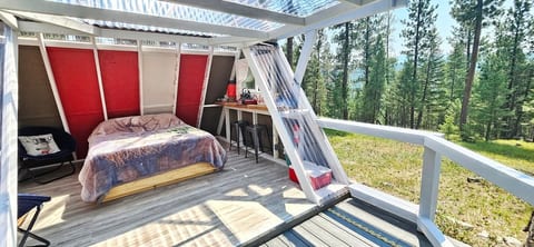 Surrounded by peaceful forest, The Stargazer Cabin near Missoula is the perfect place for stargazing lovers.