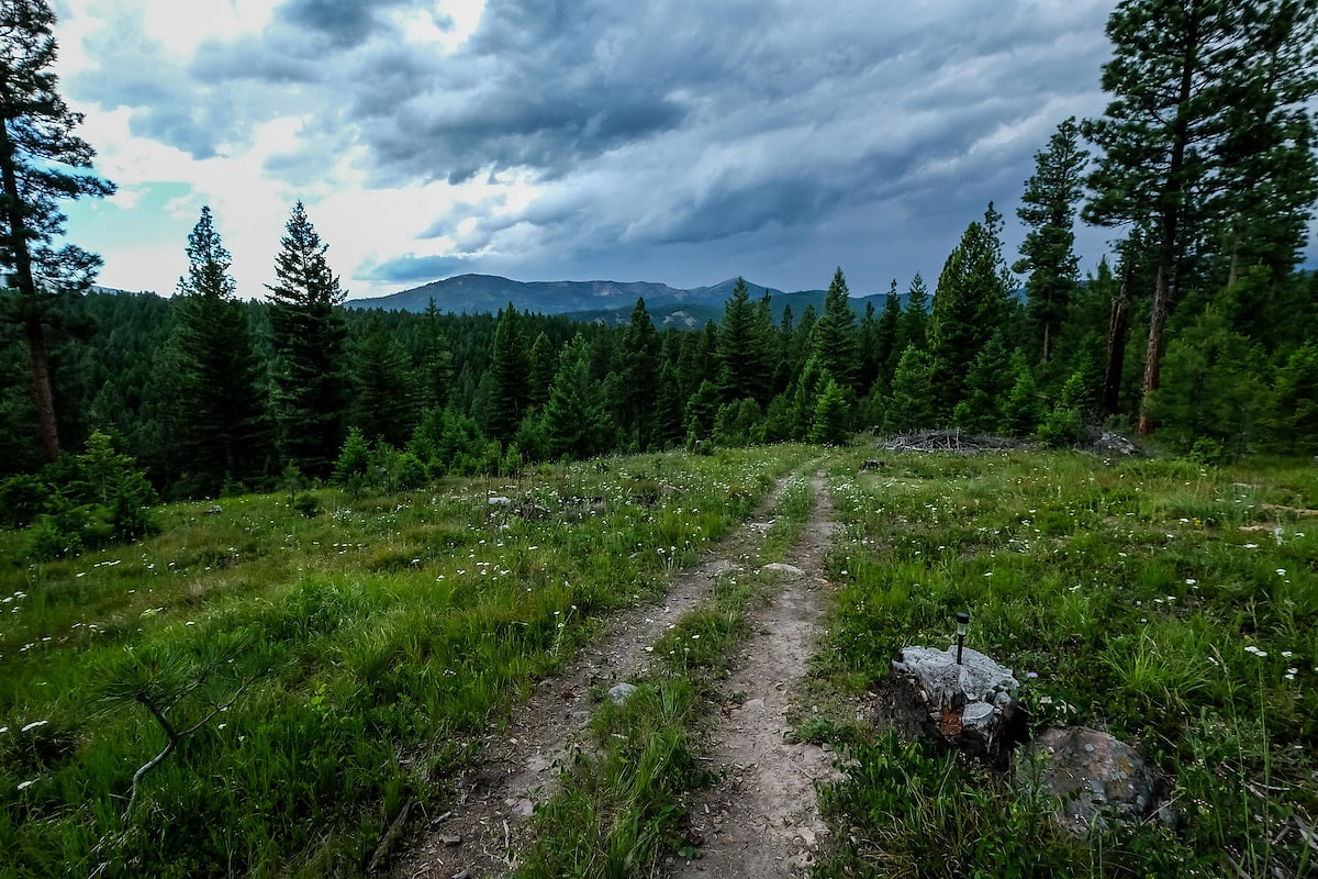 Enjoy endless mountain views from your cabin and surrounding acreage.