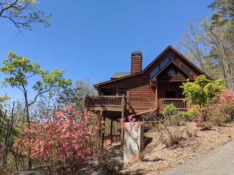 ❤️Sky Blue View - A Blue Ridge Area Cabin
