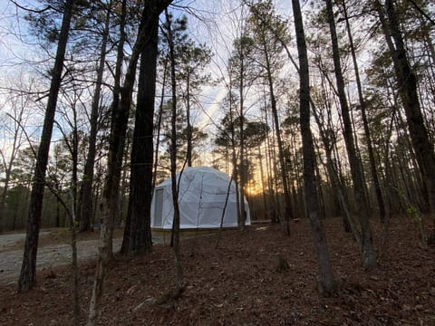 Artistic Forest Dome Escape Near Lake Oconee