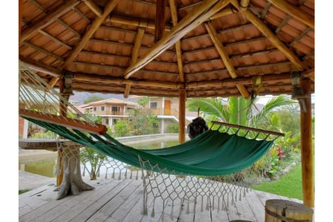 Hammock