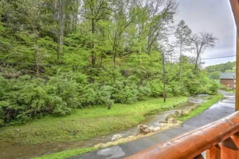 "Smokey Max Cabin", 2 bed 2 bath 8 people sleeping