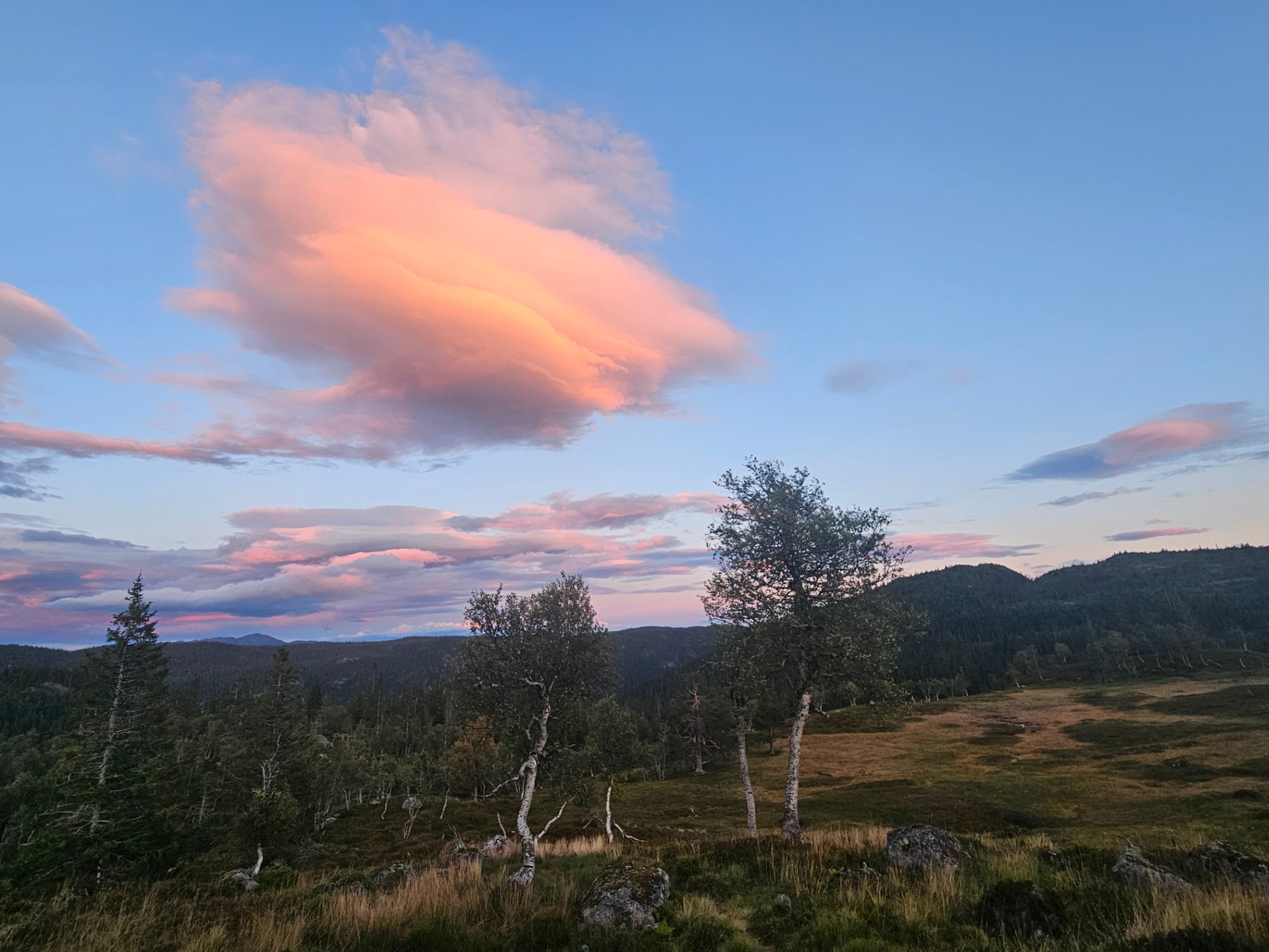 magic-view-unspoiled-nature-summer-pasture/