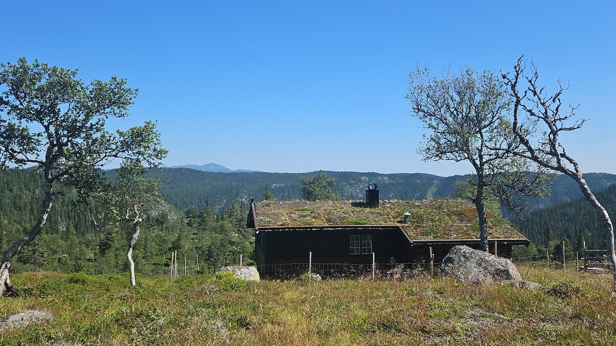 magic-view-unspoiled-nature-summer-pasture/
