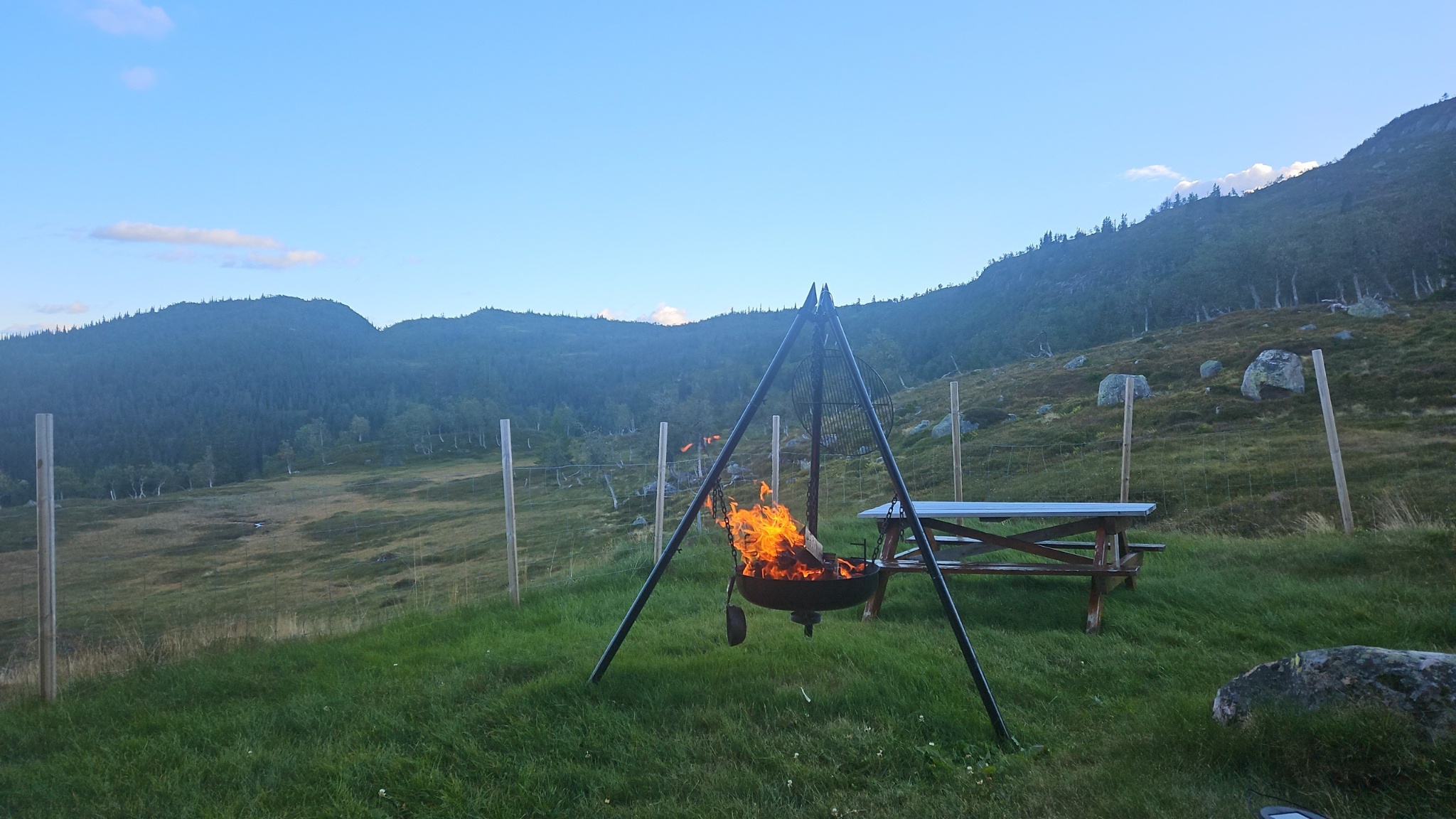 magic-view-unspoiled-nature-summer-pasture/