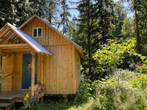 View of the front of the cabin, all made with wood milled from our land.