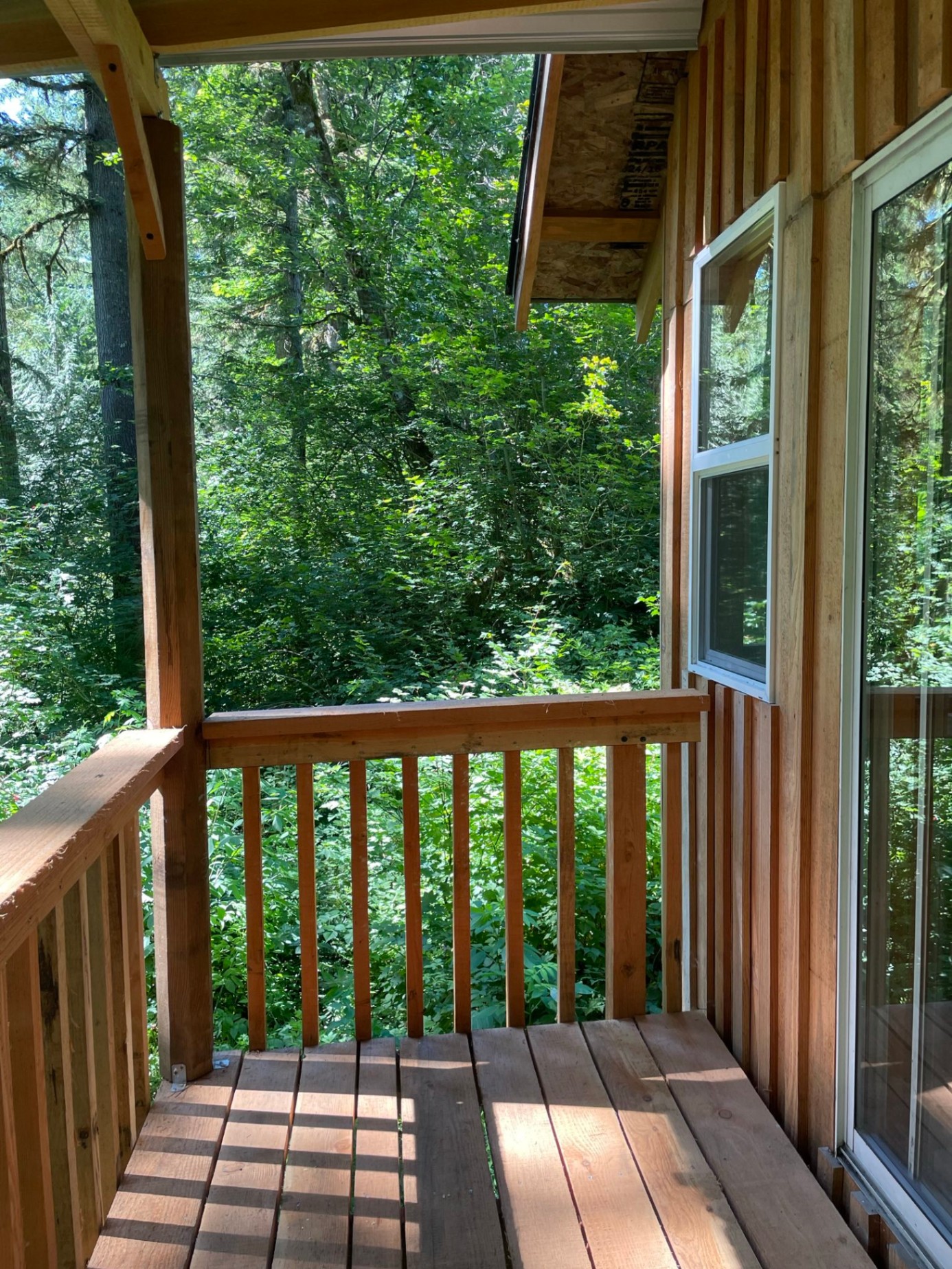Creek Cabin in the Woods