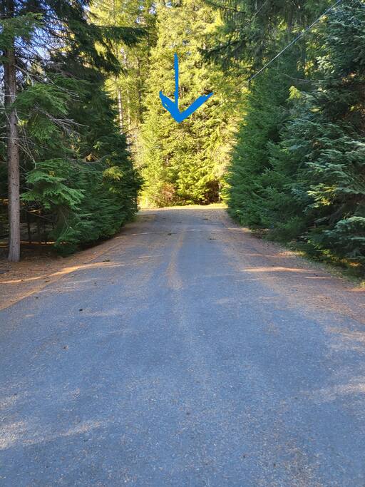 Trail head at the end of the street.