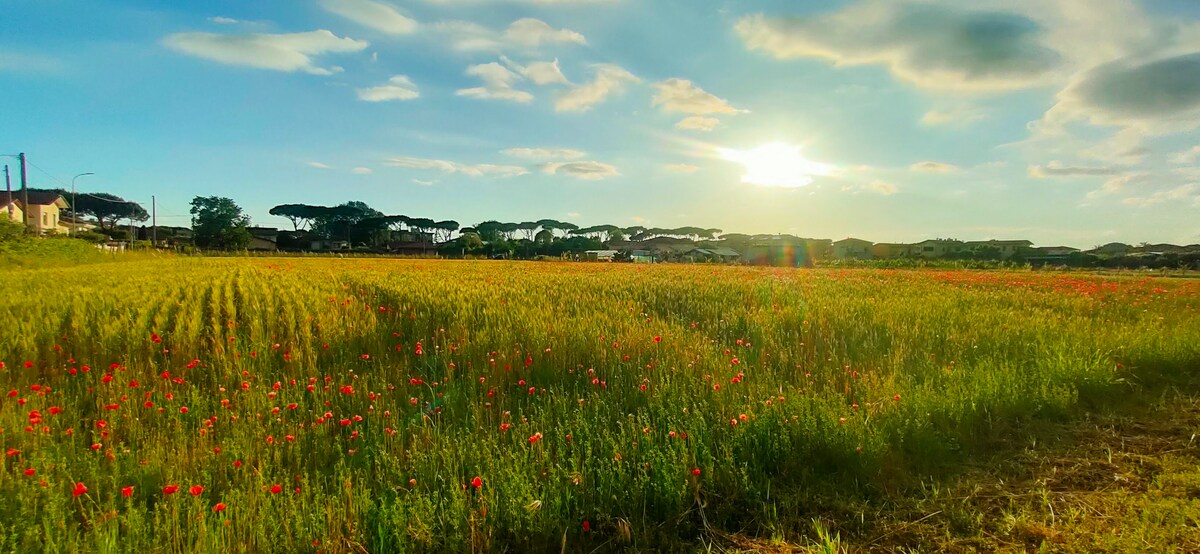 vista su campo di grano dalla camera da letto