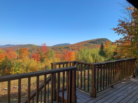 Adirondack Retreat:  Relax  with a great view