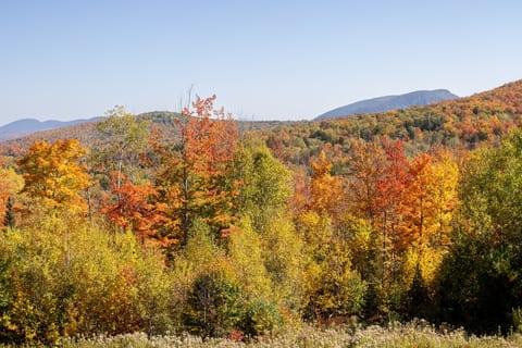 Mountain view