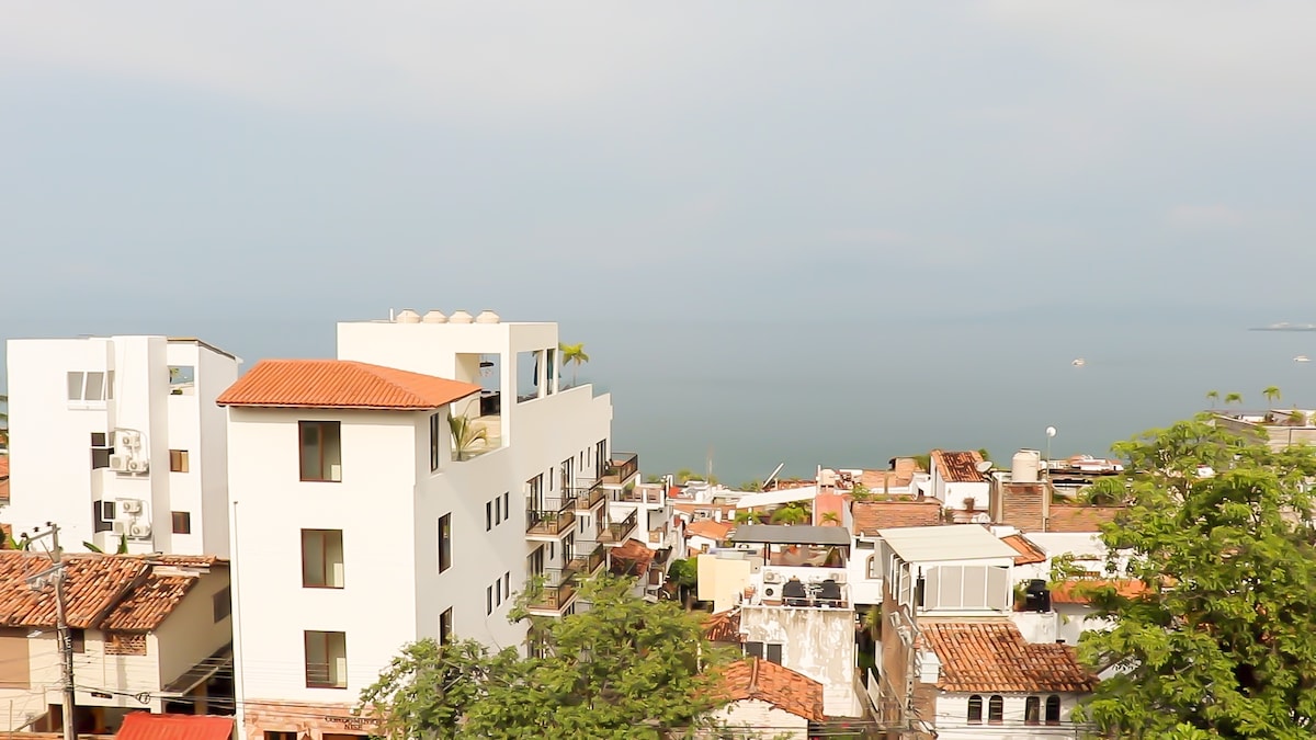 The Penthouse" with Incredible PV Views