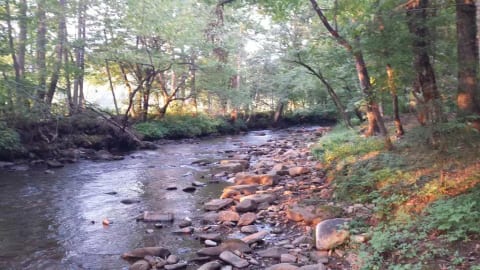 The golden glow of a late afternoon on the creek