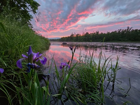 Chippewa River Cabin