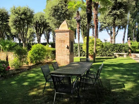 Giuggiolo - Giuggiolo 5