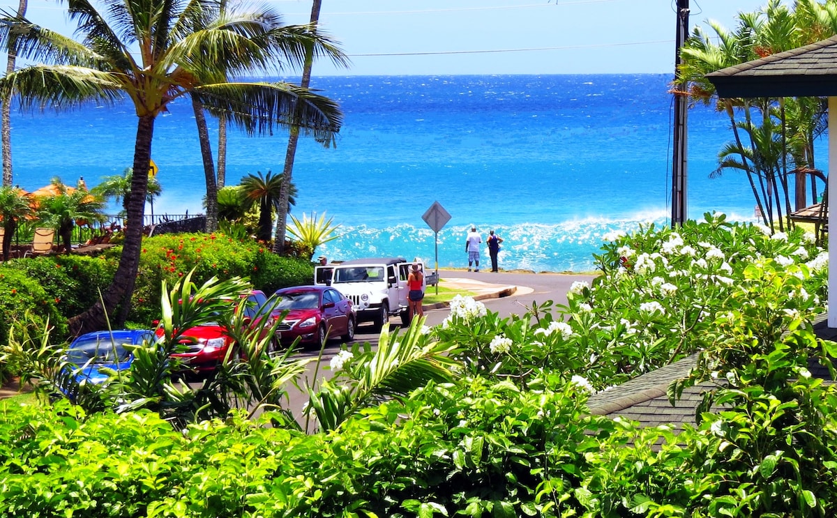 View from the lanai and living room.