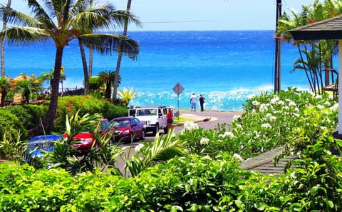View from the lanai and living room.