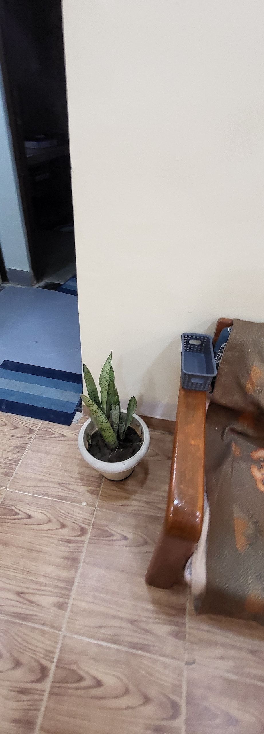 hari-prasad-homestay/