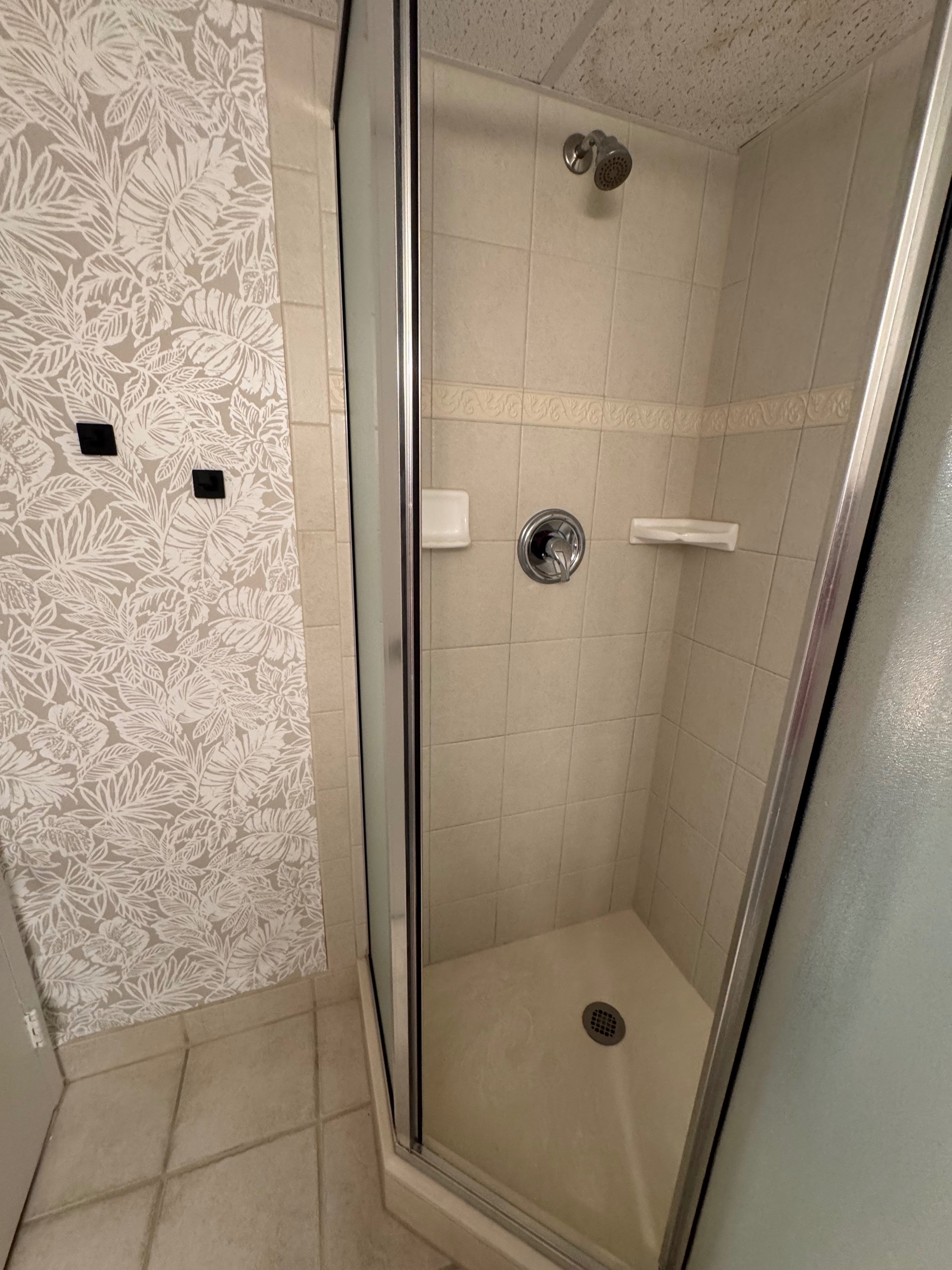Hall bath shower