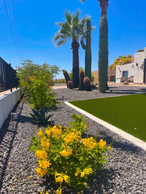 Front yard in the spring, large turf area for kids to play!