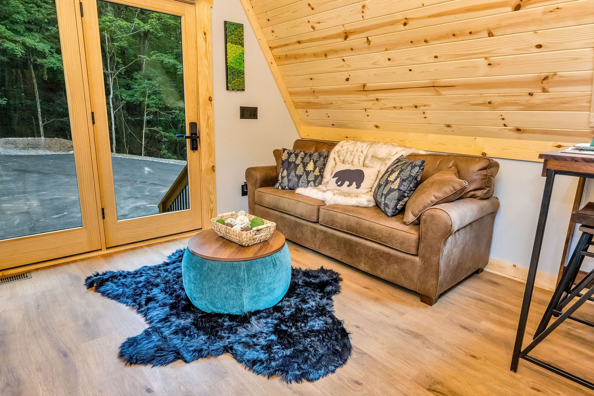 Queen size pull out couch Queen size pull out couch - High Peak Aframe Cabin - West Jefferson