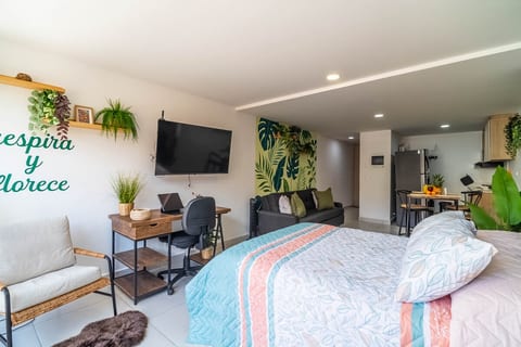 Cozy Spring Flat in Laureles