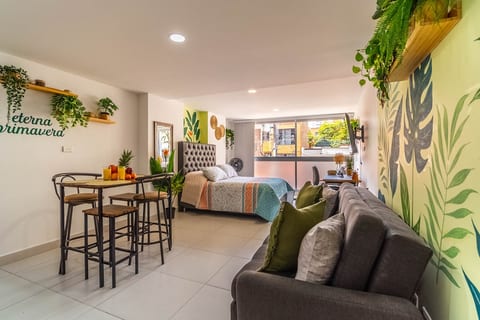 Cozy Spring Flat in Laureles
