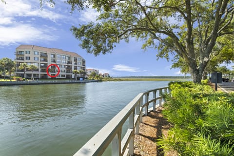 Looking from the boardwalk across Broad Creek- at Disney