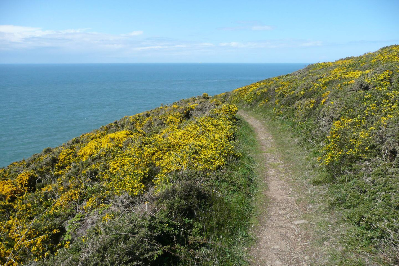 charming-upper-solva-cottage-by-beaches-and-harbour/