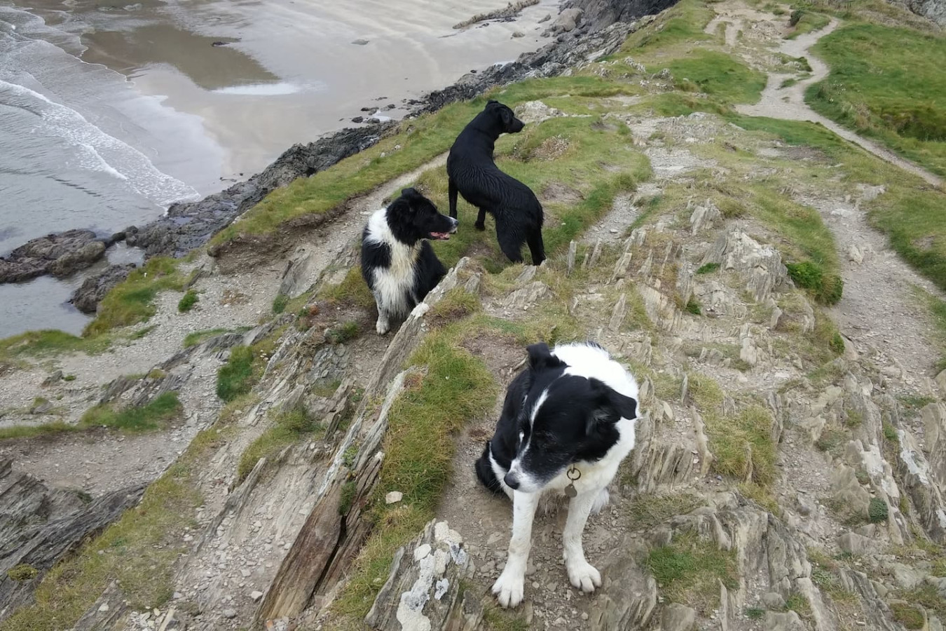 charming-upper-solva-cottage-by-beaches-and-harbour/