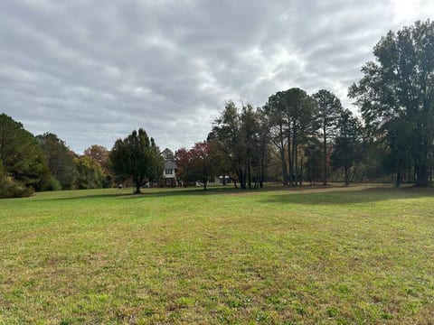 Spacious front yard on the 6 acre parcel