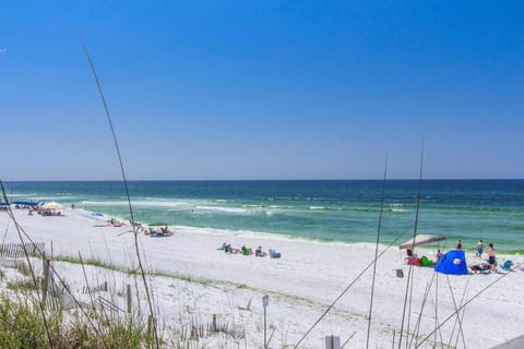 Seaside Haven