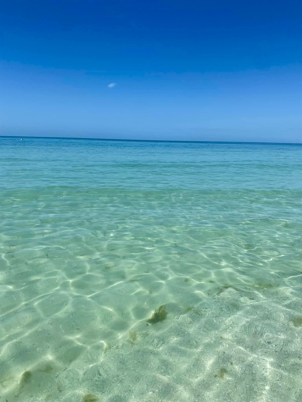 Sunset Paradise #5 - Indian Rocks Beach