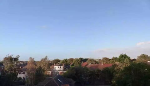 Rooftops and trees of Ballsbridge from the sittingroom. Hard to believe you are 10 minutes from central Dublin!
