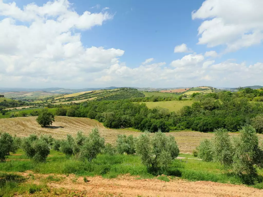 Casa dell'Orto - Scansano