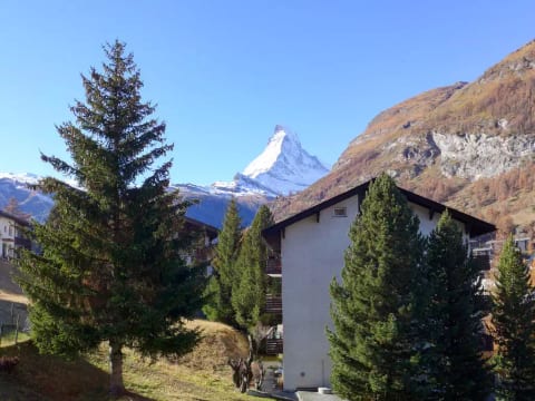 St. Bernhard