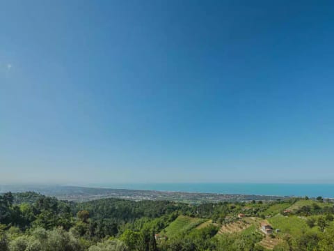 Casali