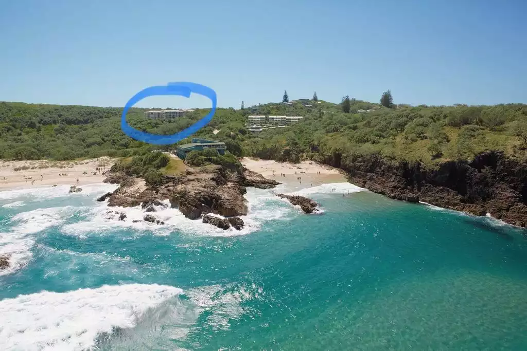 million-view-watch-whales-from-comfort-of-home/