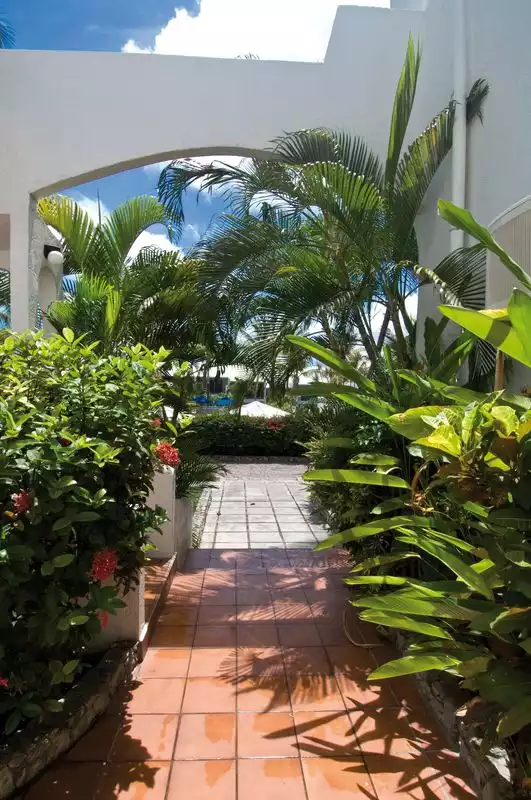 Adelaide's Escape - Dutch St