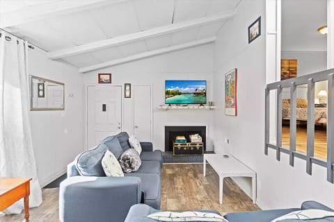 nice big stylish living room with a big Roku TV and high ceilings
